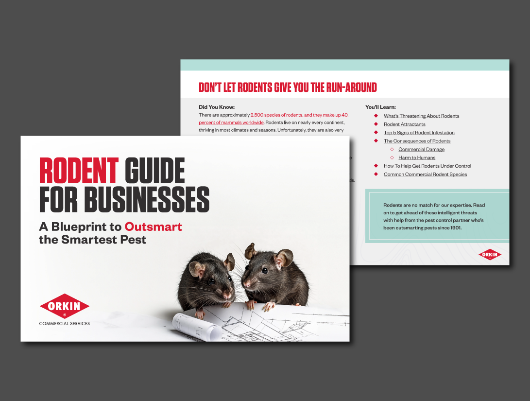 Rodent Guide for Businesses: A Blueprint to Outsmart the Smartest Pest